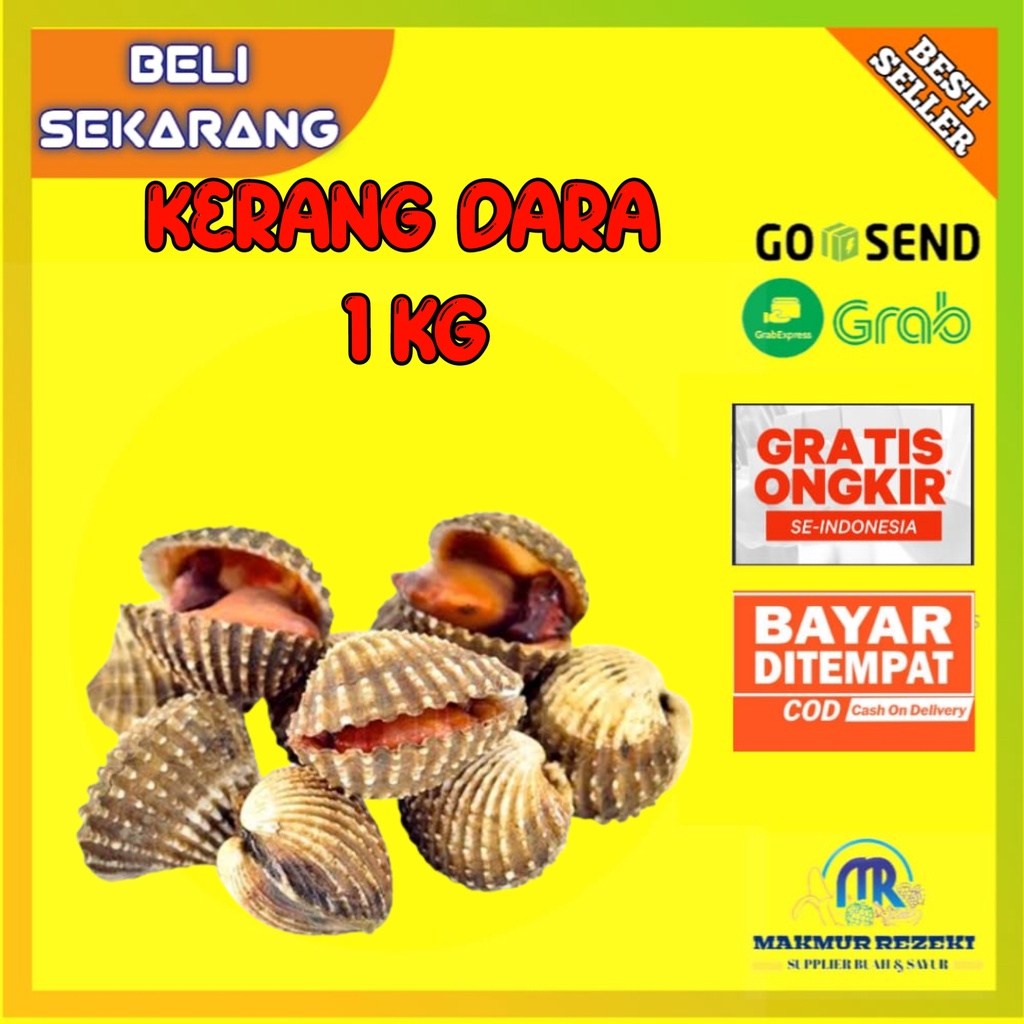 Jual KERANG DARA 1 KG TIDAK KUPAS | Shopee Indonesia