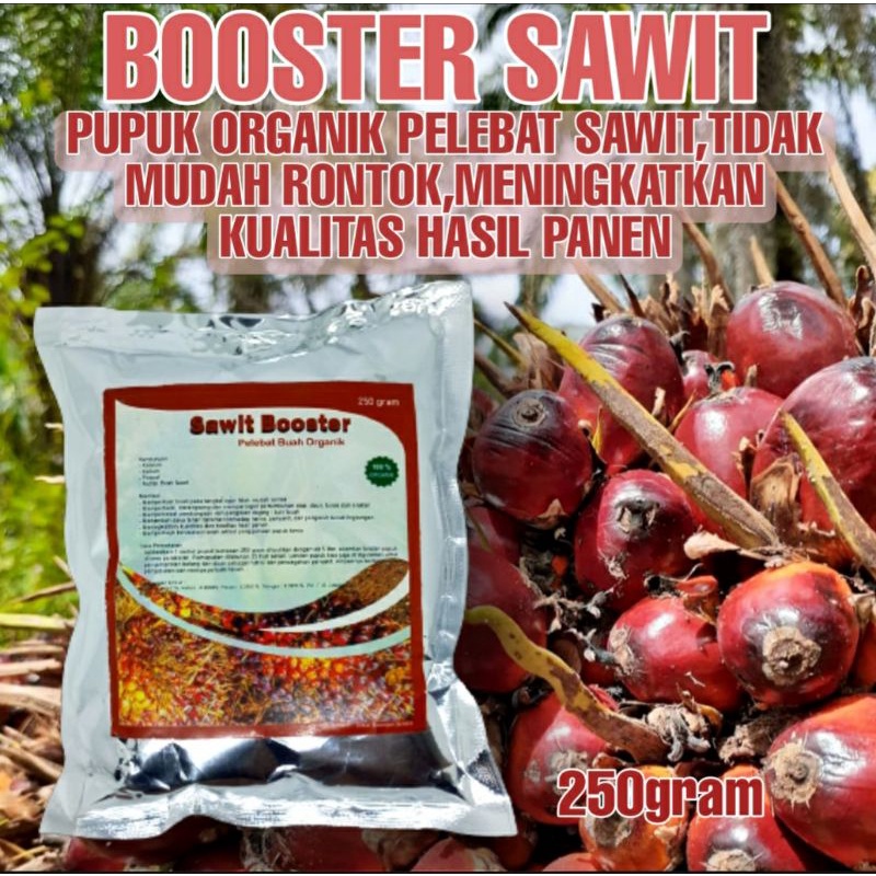 Jual Pupuk Organik Pelebat Sawit Dan Booster Perangsang Sawit Agar Cepat Berbuah Super Lebat