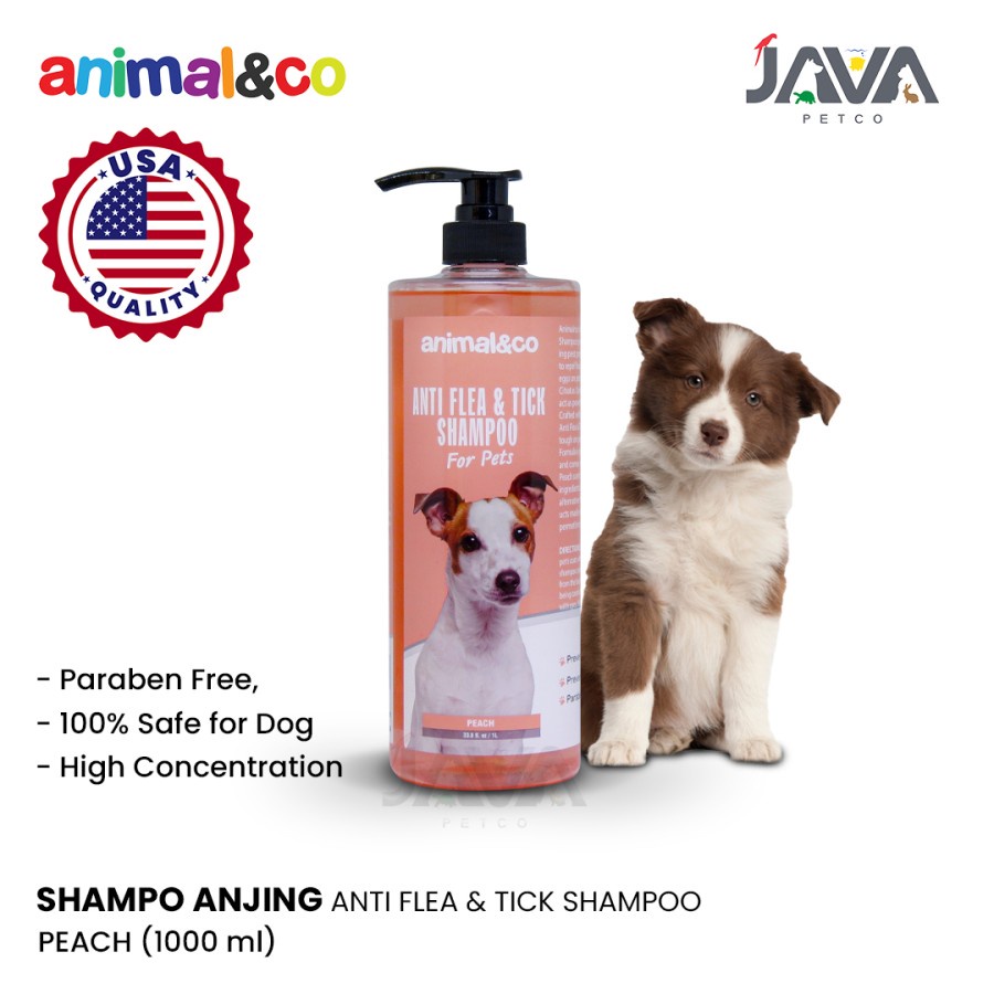 Jual Animalnco Premium Shampo Anjing Anti Kutu Dog shampo 1000