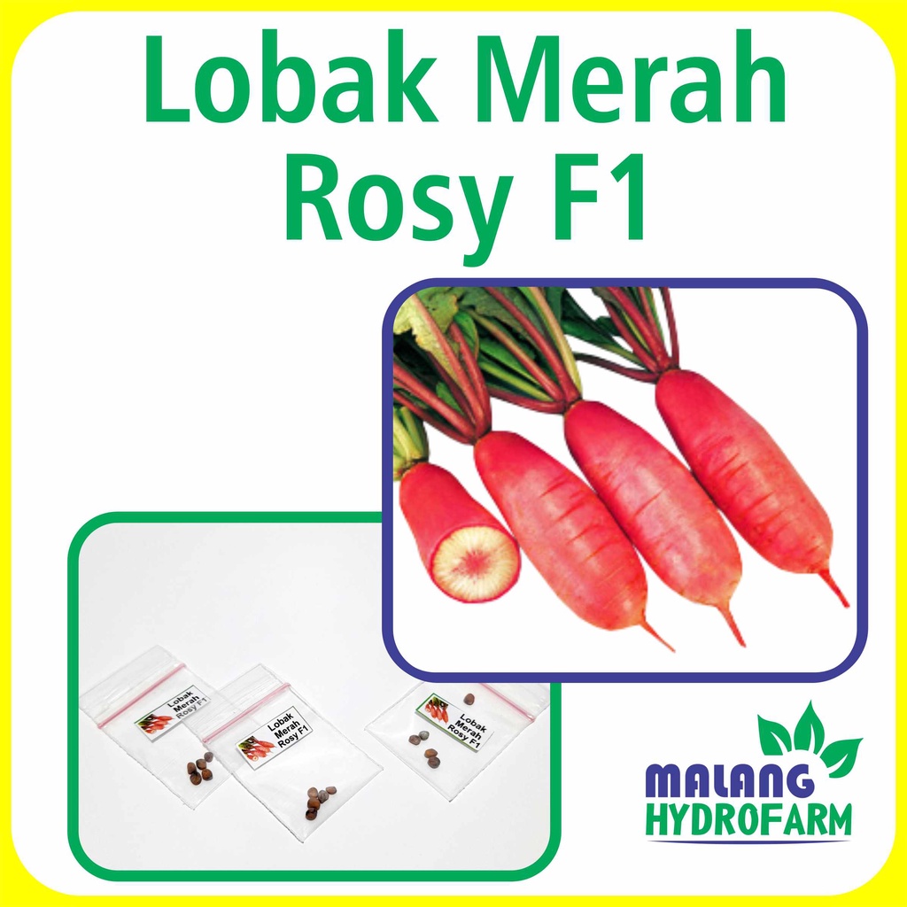 Jual Benih Lobak Merah Rosy F1 Unggulan Berkualitas Biji Bibit repack ...