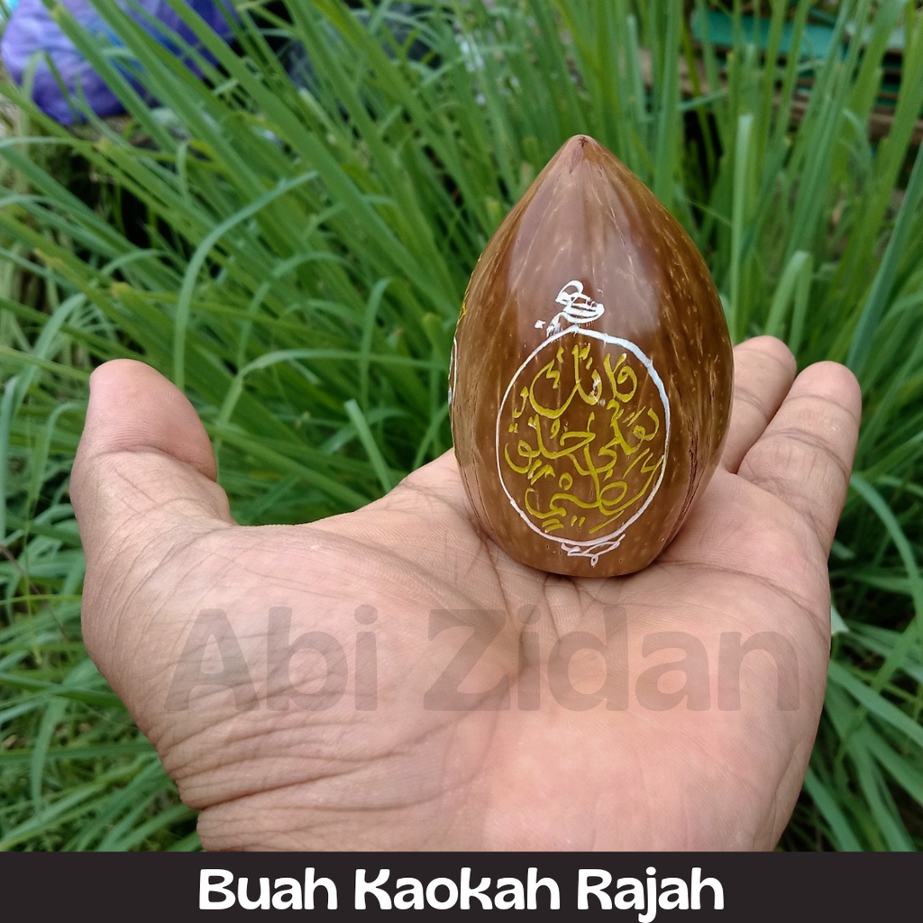 Jual buah kaoka kaokah kaukah koka kokah kokka grosir polos | Shopee ...