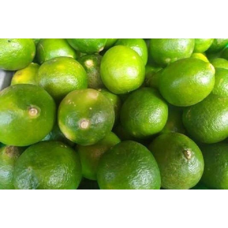 Jual jeruk nipis lokal 250/ 500/1000gram | Shopee Indonesia