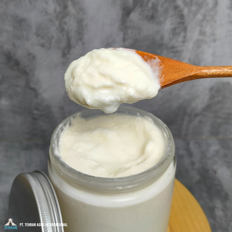 Jual Yogurt Plain No Sugar 500gr Yogurt Biasa Tanpa Gula Shopee