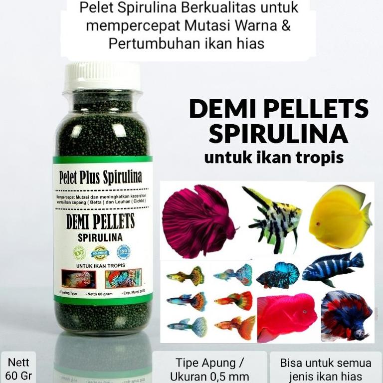 Jual K35 Demi Pellets Spirulina Untuk Cepat Mutasi Warna & Cerahkan