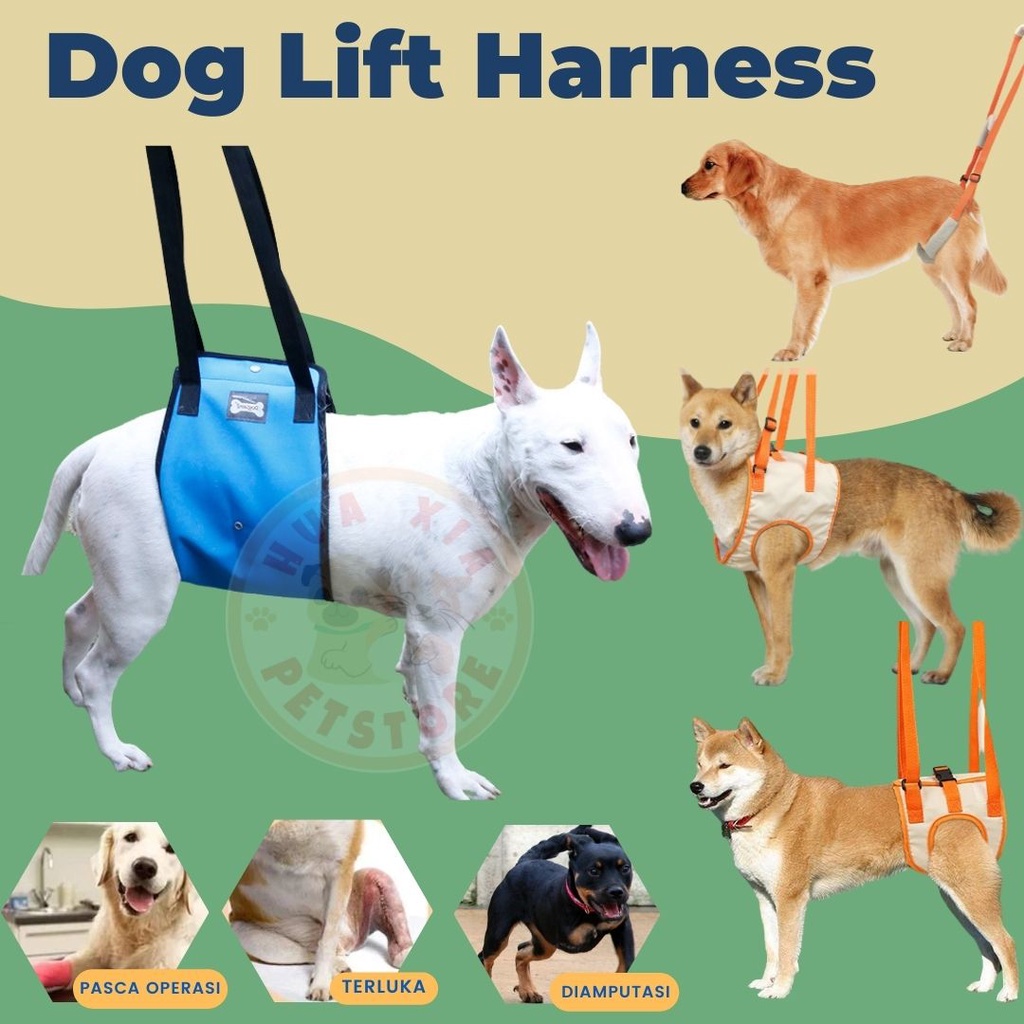 Jual Dog Lift Harness /Alat bantu jalan Anjing / PET Medical Equipment