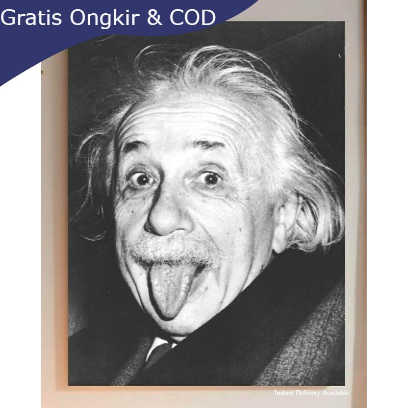 Jual Bingkai Foto Murah Hiasan Dinding Poster Gambar Albert Einstein Plus Bingkai Ukuran 65x45