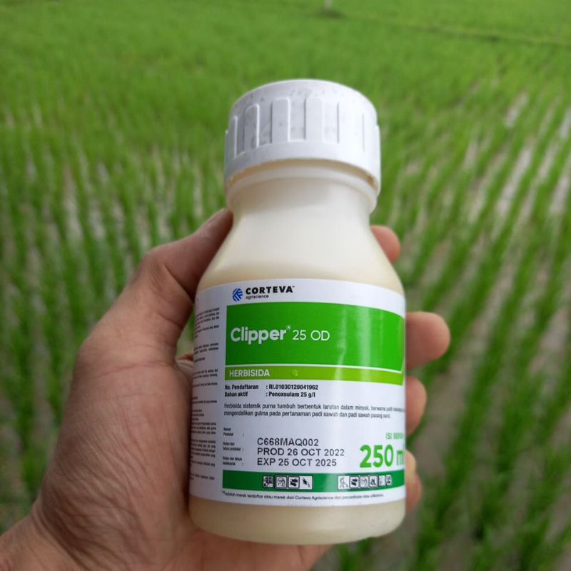 Jual Exp 2025 CLIPPER 25 OD HERBISIDA 250ML SELEKTIF DAN SISTEMIK UNTUK