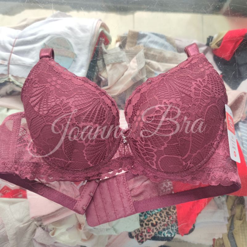 Jual Elena Bra Bh Berkawat Cup C Busa Tipis E 24485 36c 42c Bra