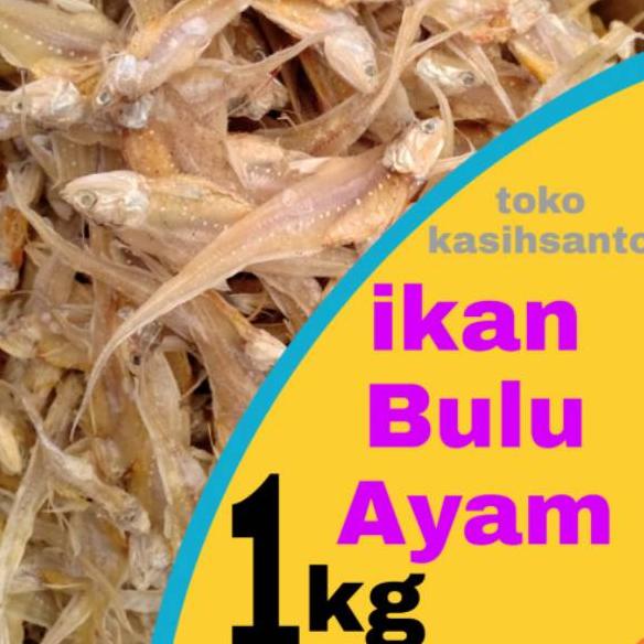 Jual Ikan asin bulu ayam super-1kg | Shopee Indonesia