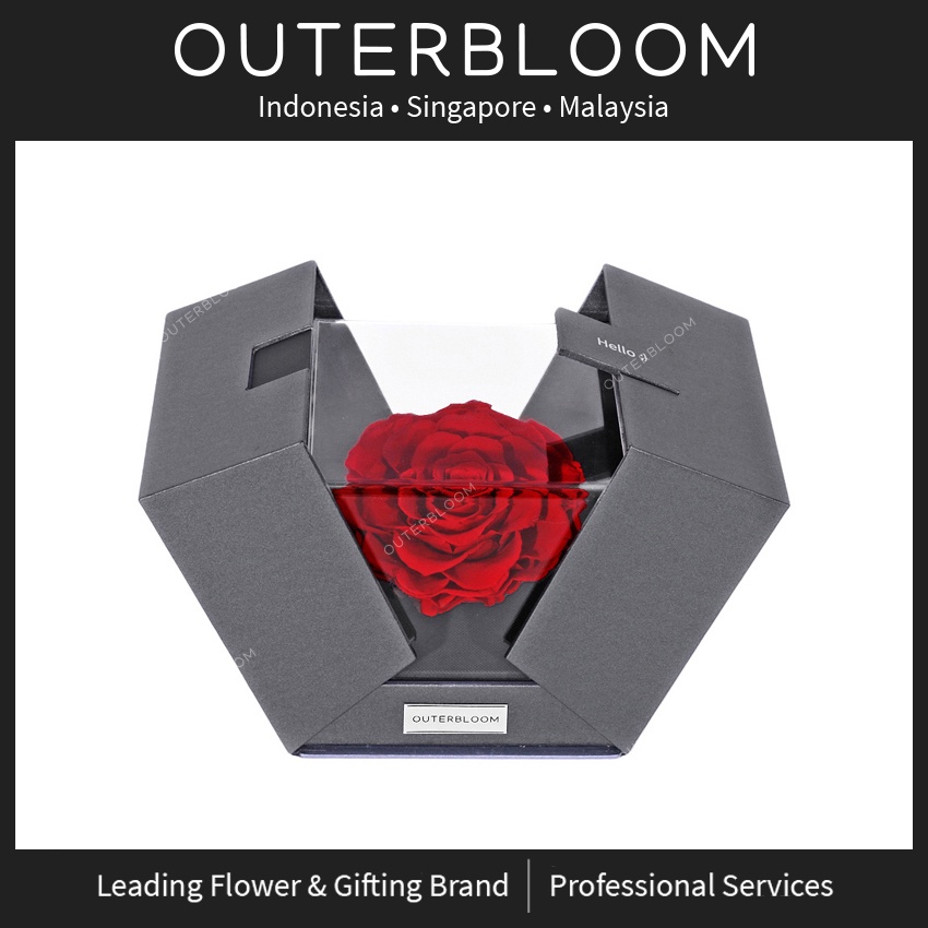 Toko Online Outerbloom Official Shop | Shopee Indonesia