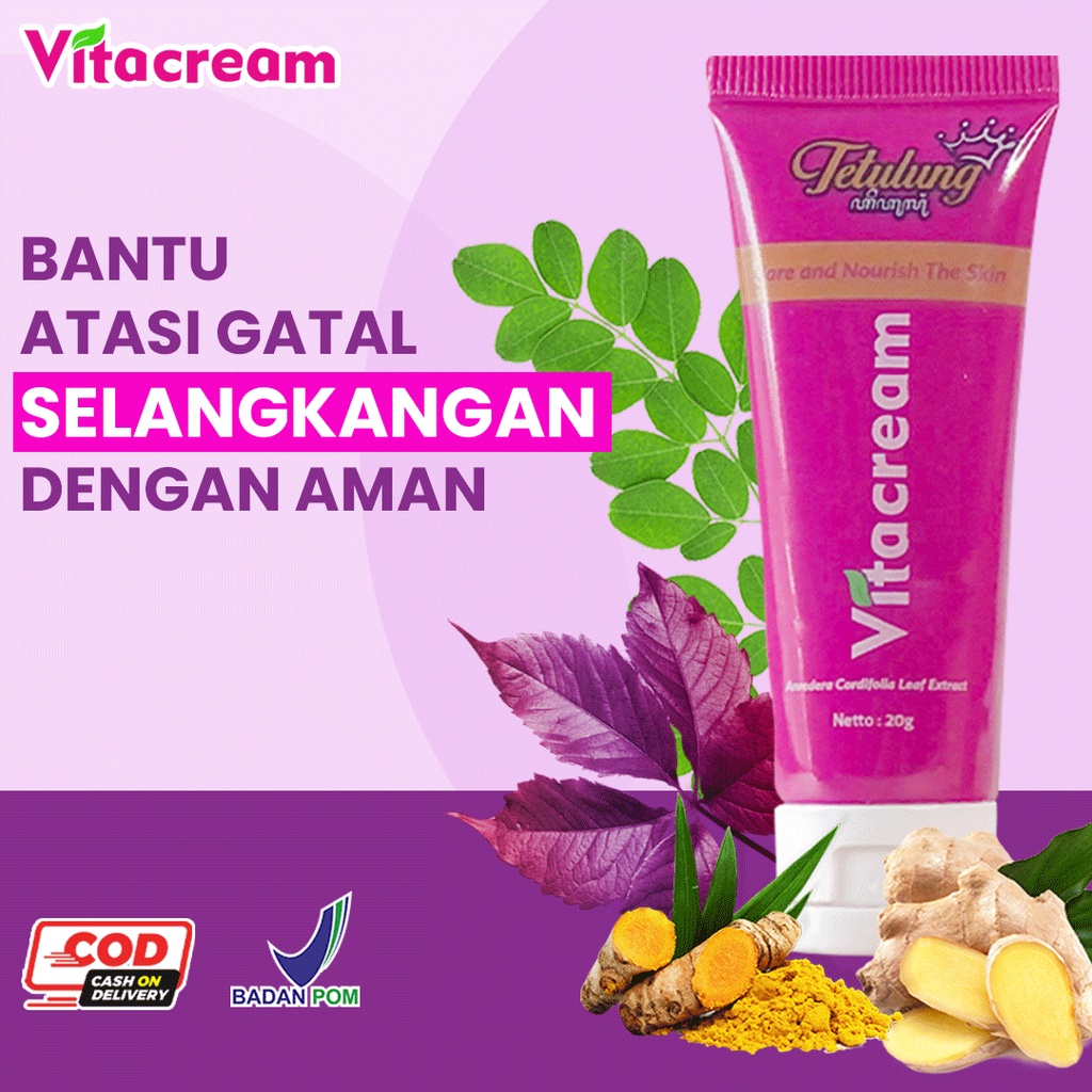 Jual Vitacream Obat Gatal Selangkangan Salep Gr Ampuh BPOM Shopee Indonesia