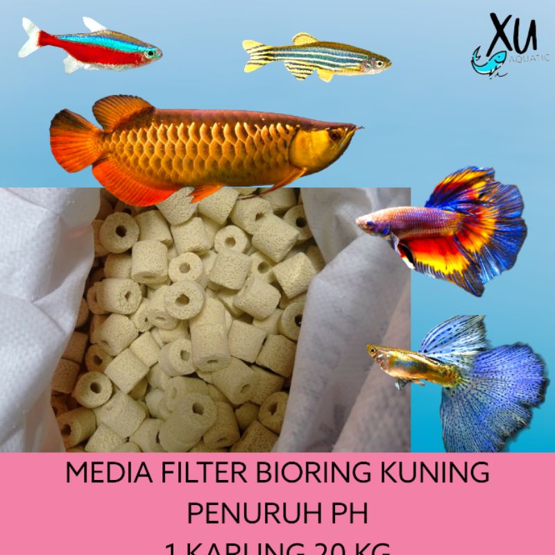 Jual Bio Ring Super Penurun Ph Kg Bioring Kuning Original Karung