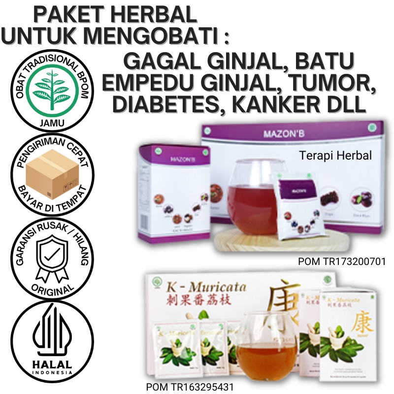 Jual Paket Hemat Obat Herbal Khusus Batu Ginjal Dan Batu Empedu ...