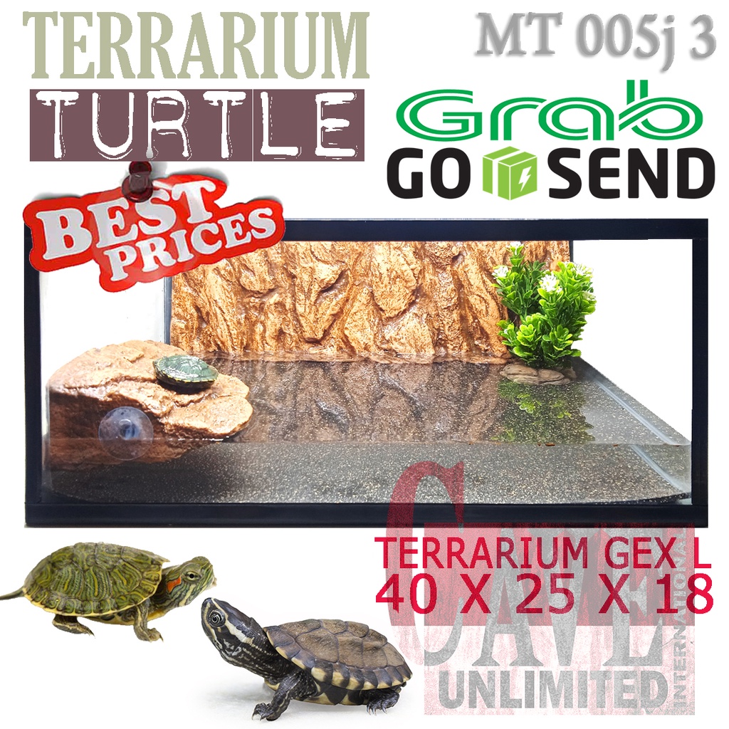 Jual MT005J3 PAKET FULL SET TERRARIUM AQUARIUM TURTLE KURA KURA AIR RES ...