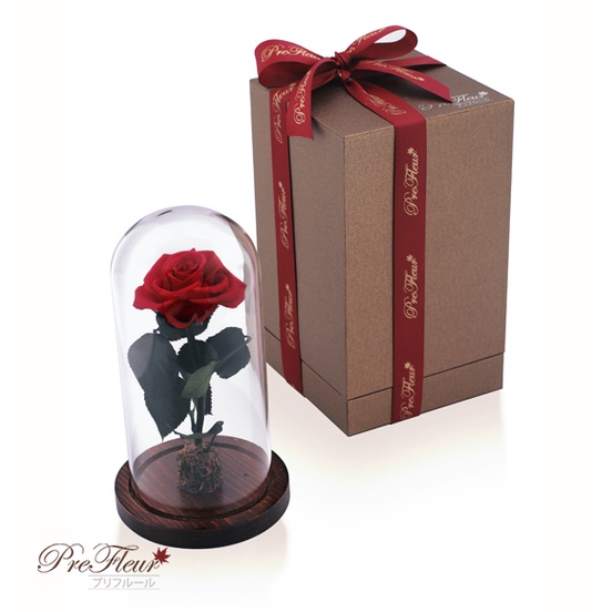 Jual PreFleur Preserved Flower Beauty And The Beast Preserved