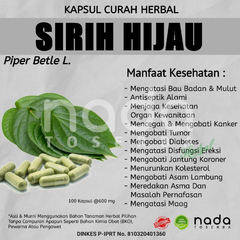 Jual Kapsul Sirih Hijau Kapsul Herbal Curah Herbal Kanker Tumor