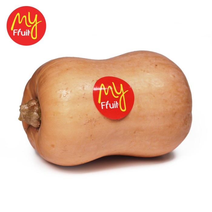 Jual My Fruit Pumpkin Butternut ( Labu Madu ) 1 Pcs | Shopee Indonesia