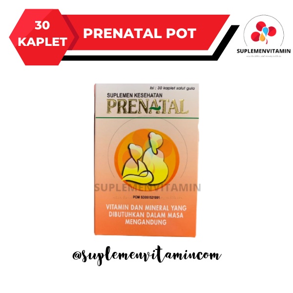 Jual Prenatal Suplemen Vitamin Mineral untuk Ibu Hamil dan Menyusui ...