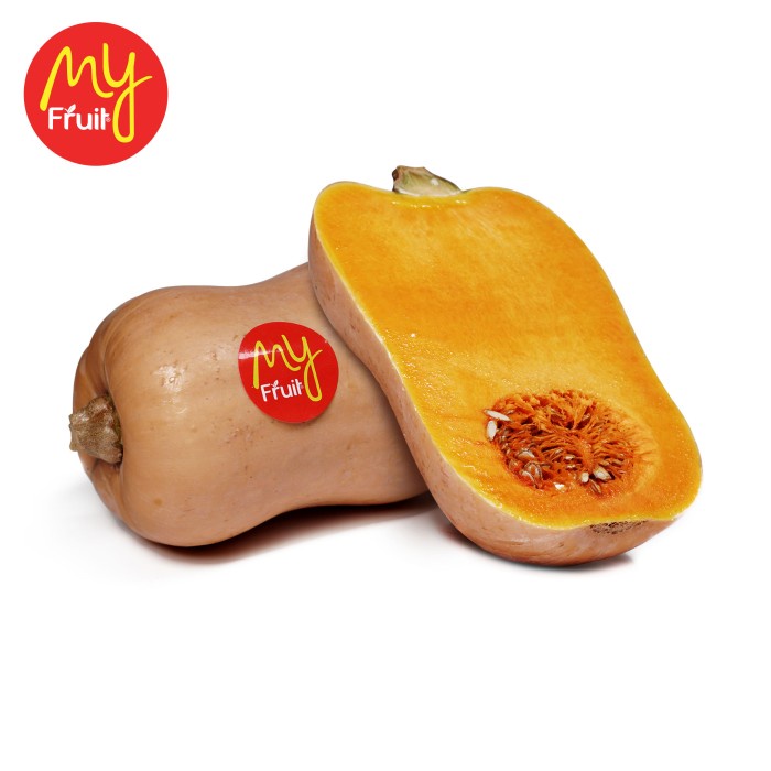Jual My Fruit Pumpkin Butternut ( Labu Madu ) 1 Pcs | Shopee Indonesia