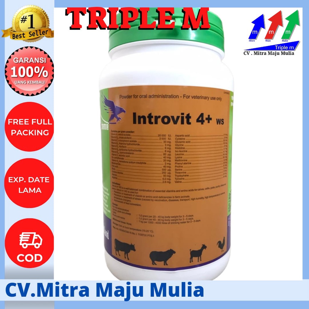 Jual INTROVIT 4+ WS 1kg HOLLAND - ASAM AMINO HOLLAND | Shopee Indonesia