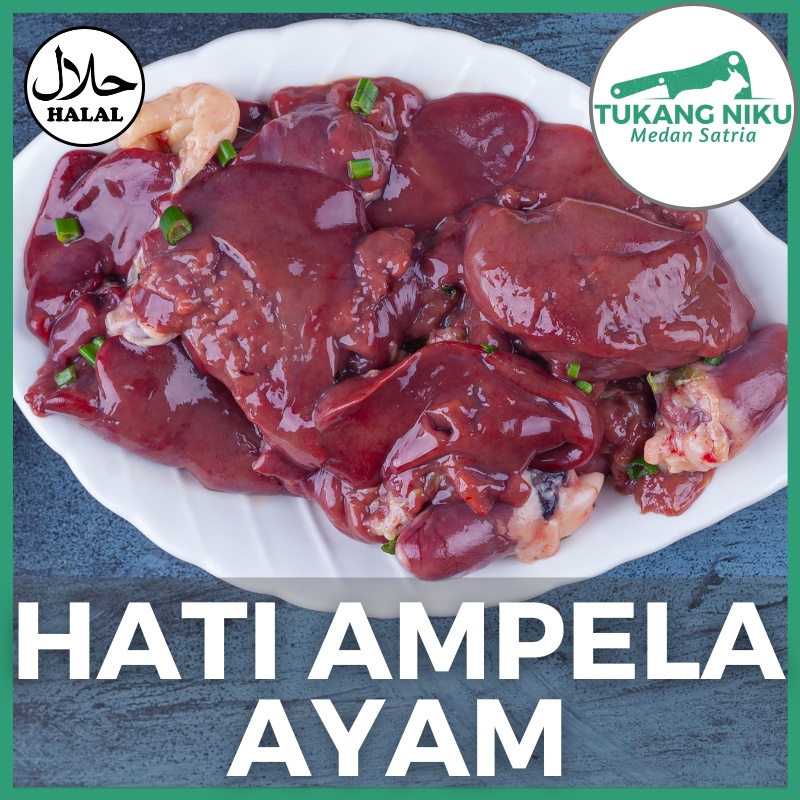 Jual Ati Ampela Ayam Bersih Halal Jeroan Potong Fresh Frozen Segar