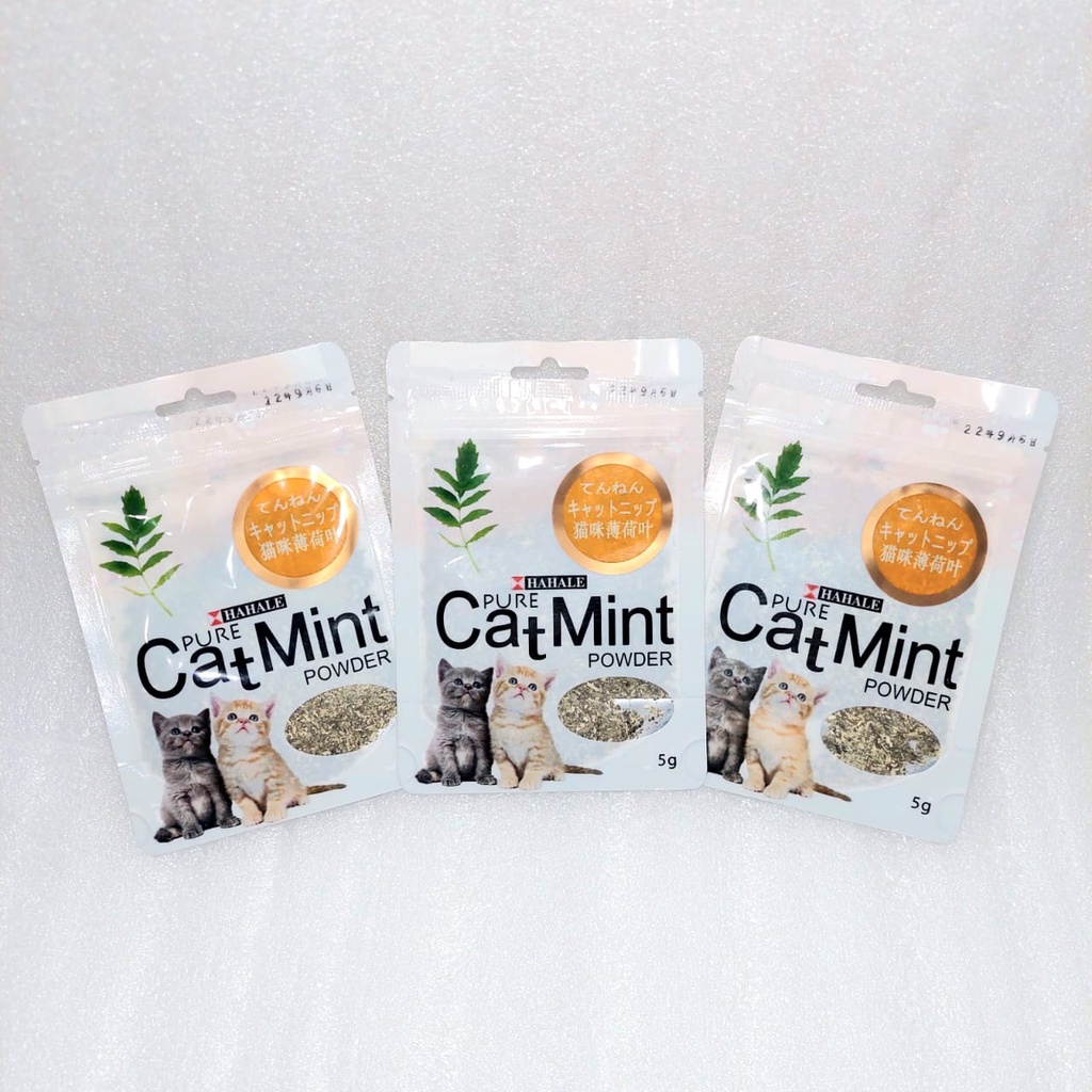 Jual Catnip Catmint Cat Mint - 100% PURE NATUAL CATMINT POWDER - BIKIN ...