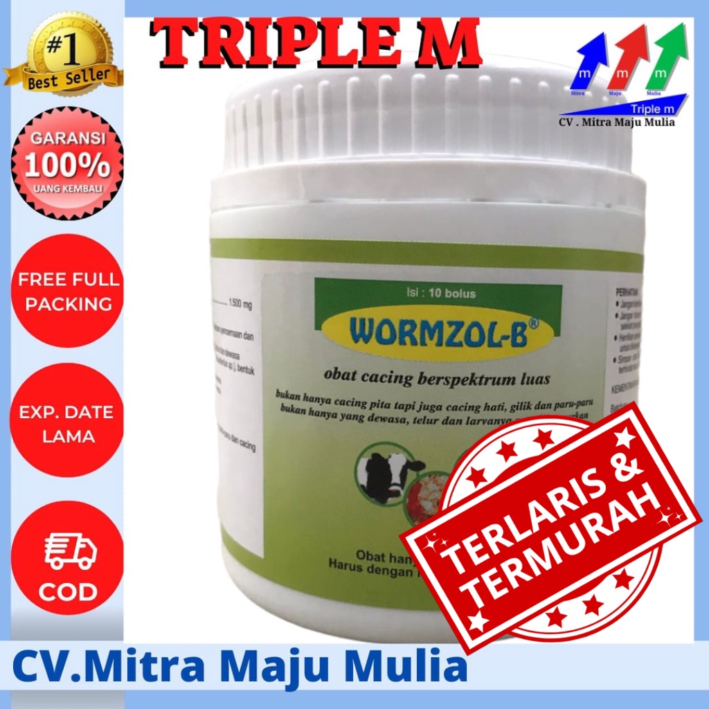 Jual WORMZOL B 10 BOLUS POT - Obat Cacing Cacingan Sapi Kerbau Kuda ...