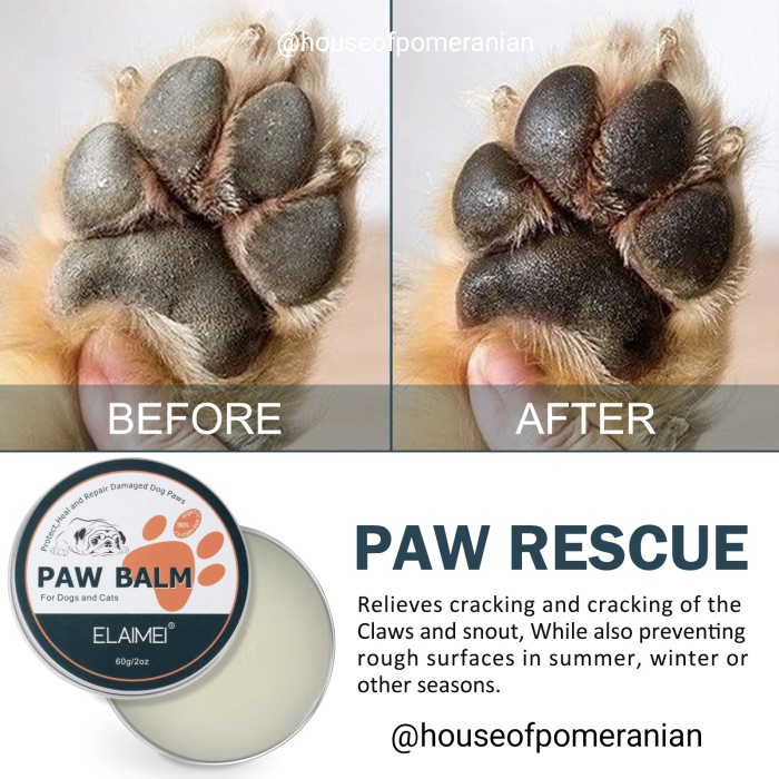 Jual PAW BALM NOSE moisture dog cat pelembab hidung kaki anjing kucing