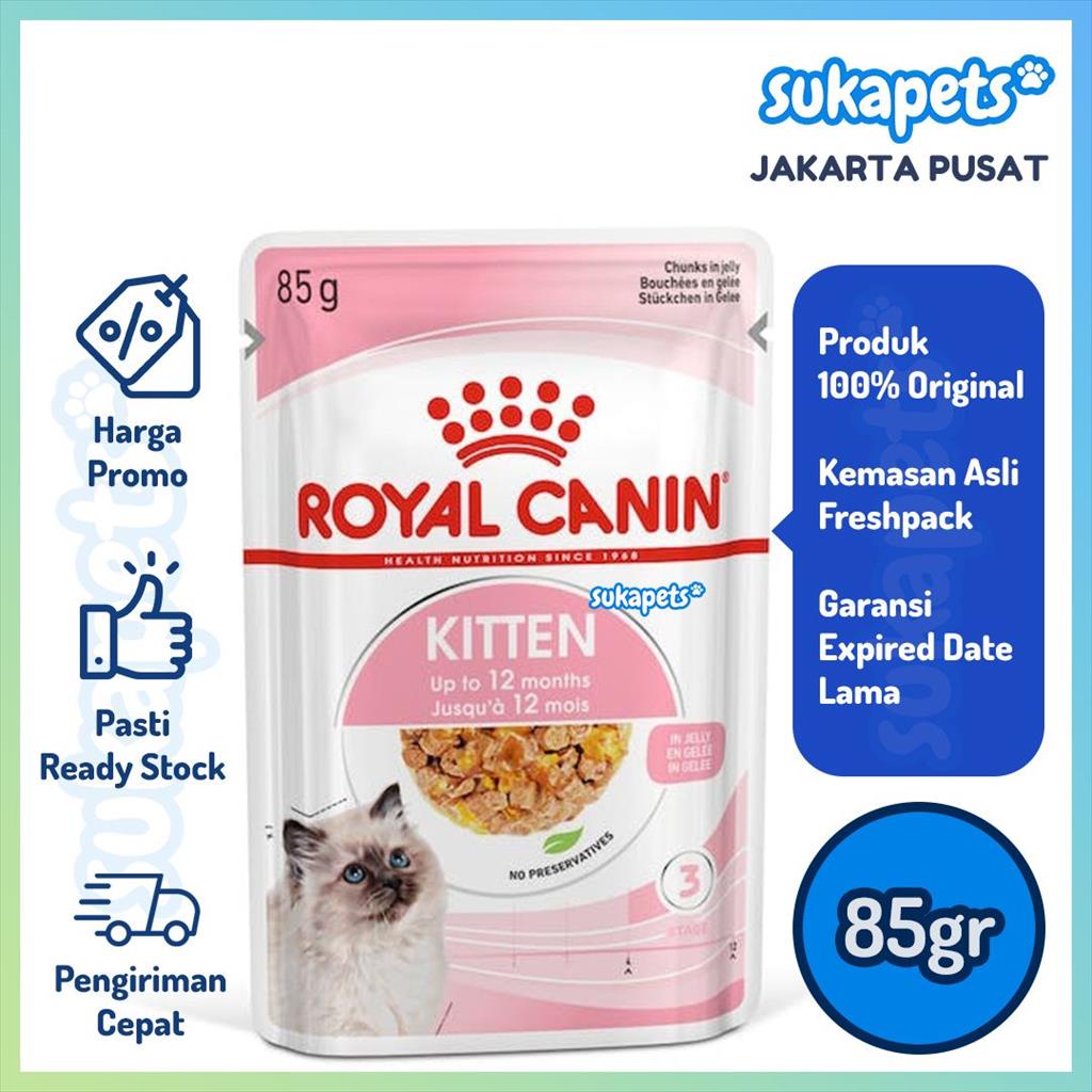 Royal canin jelly outlet kitten