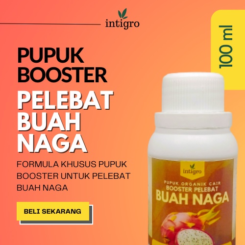 Jual Pupuk Buah Naga Cepat Berbuah Pupuk Organik Pelebat Buah Naga Booster Pemacu Perangsang