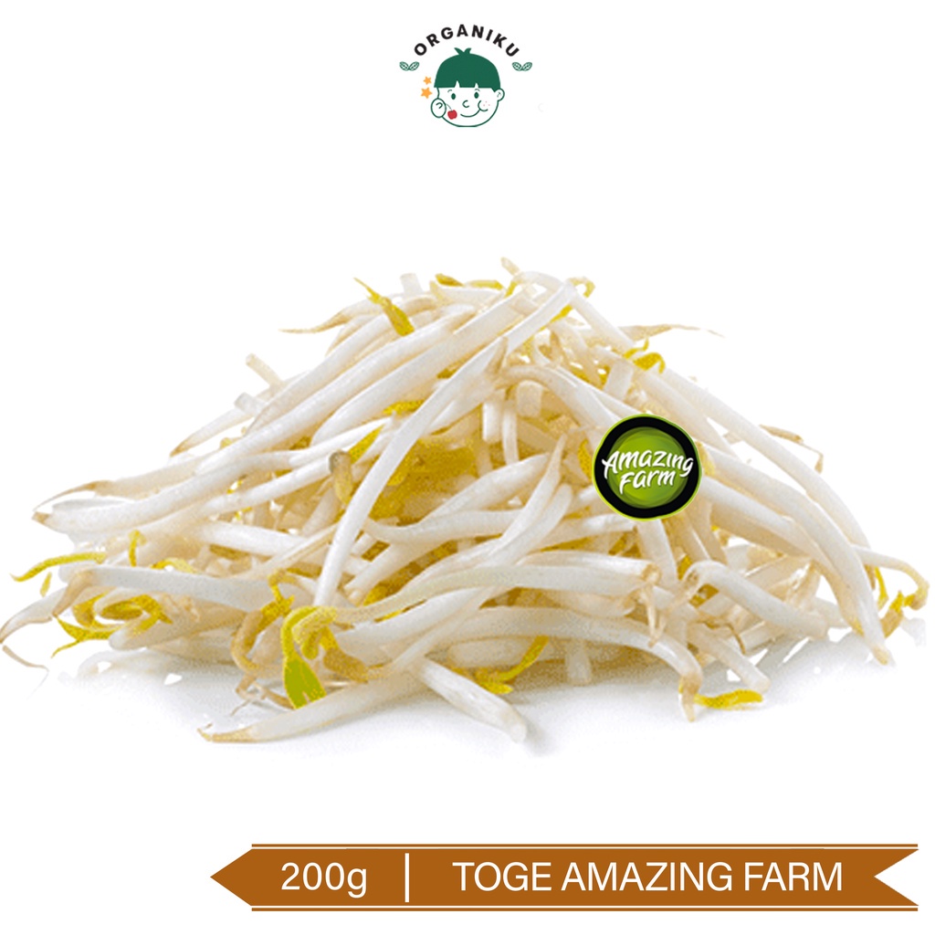 Jual Toge Organik / Organic Amazing Farm Bean Sprout 200g (CitraFood ...