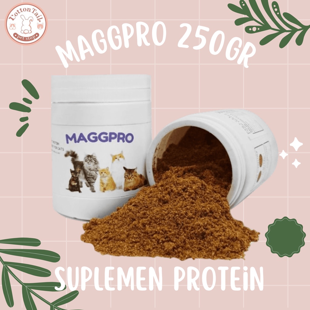 Jual MAGGPRO Suplemen Protein Untuk Kucing 250gr - Penambah Nafsu Makan ...