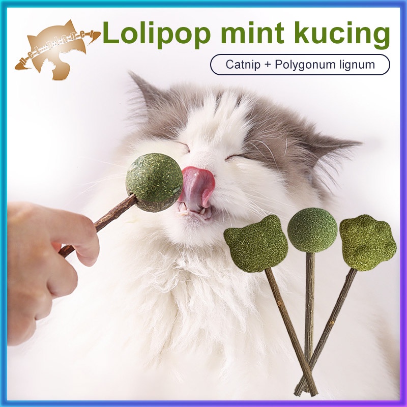 Jual Catnip Cat Lollipop Cats Toy Cat Mint Snacks | Shopee Indonesia