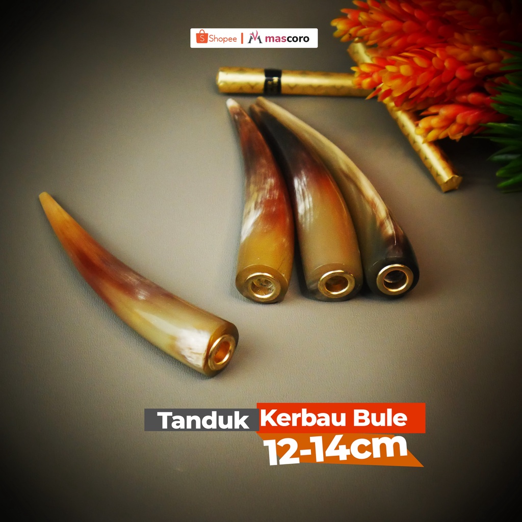 Jual pipa rokok tanduk kerbau once rokok pipa roko bukan pipa rokok ...