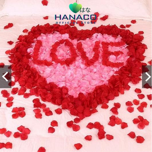 Jual HANACO - ISi 100 Kelopak Bunga Mawar Artifisial Dekorasi Ruangan ...