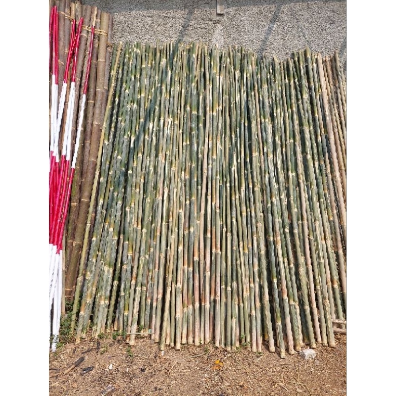 Jual REDY Bambu Tiang Bendera Bambu Apus Panjang 2,5m, Untuk Baleho ...