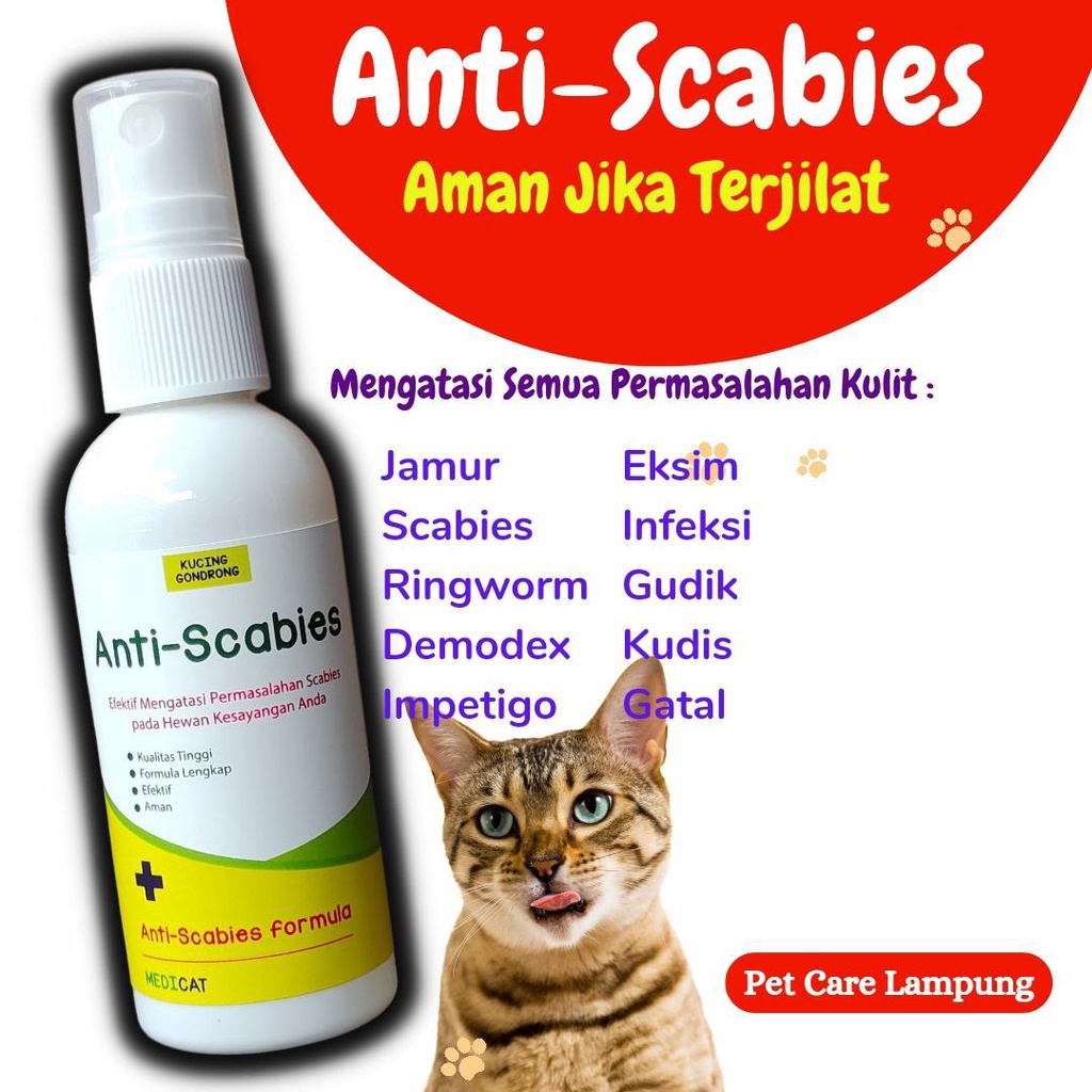 Jual Obat Jamur Kucing Scabies Demodex Impetigo Jamur Kutu Parasit ...