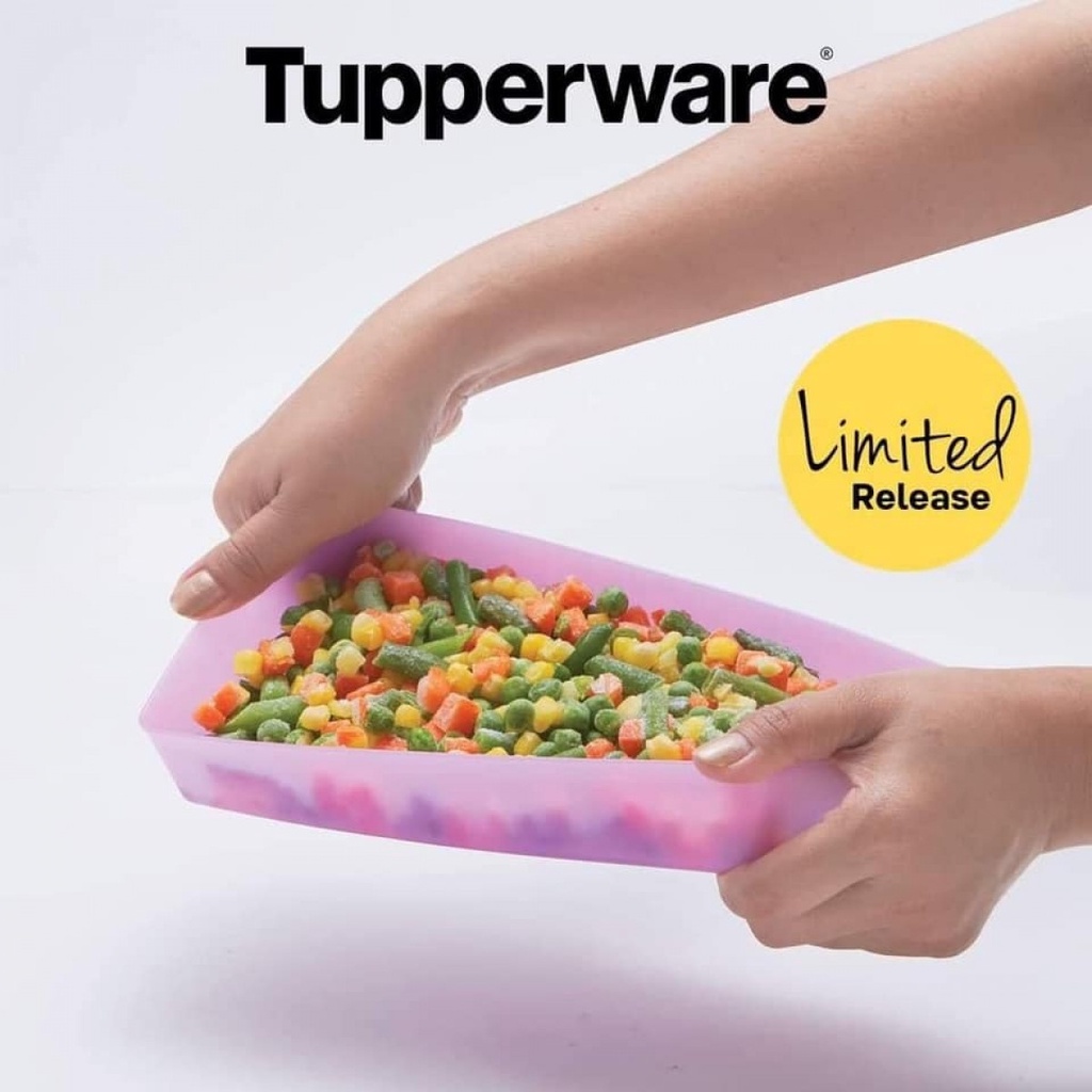 Jual Shallow Frozen Rectangular container | Shopee Indonesia