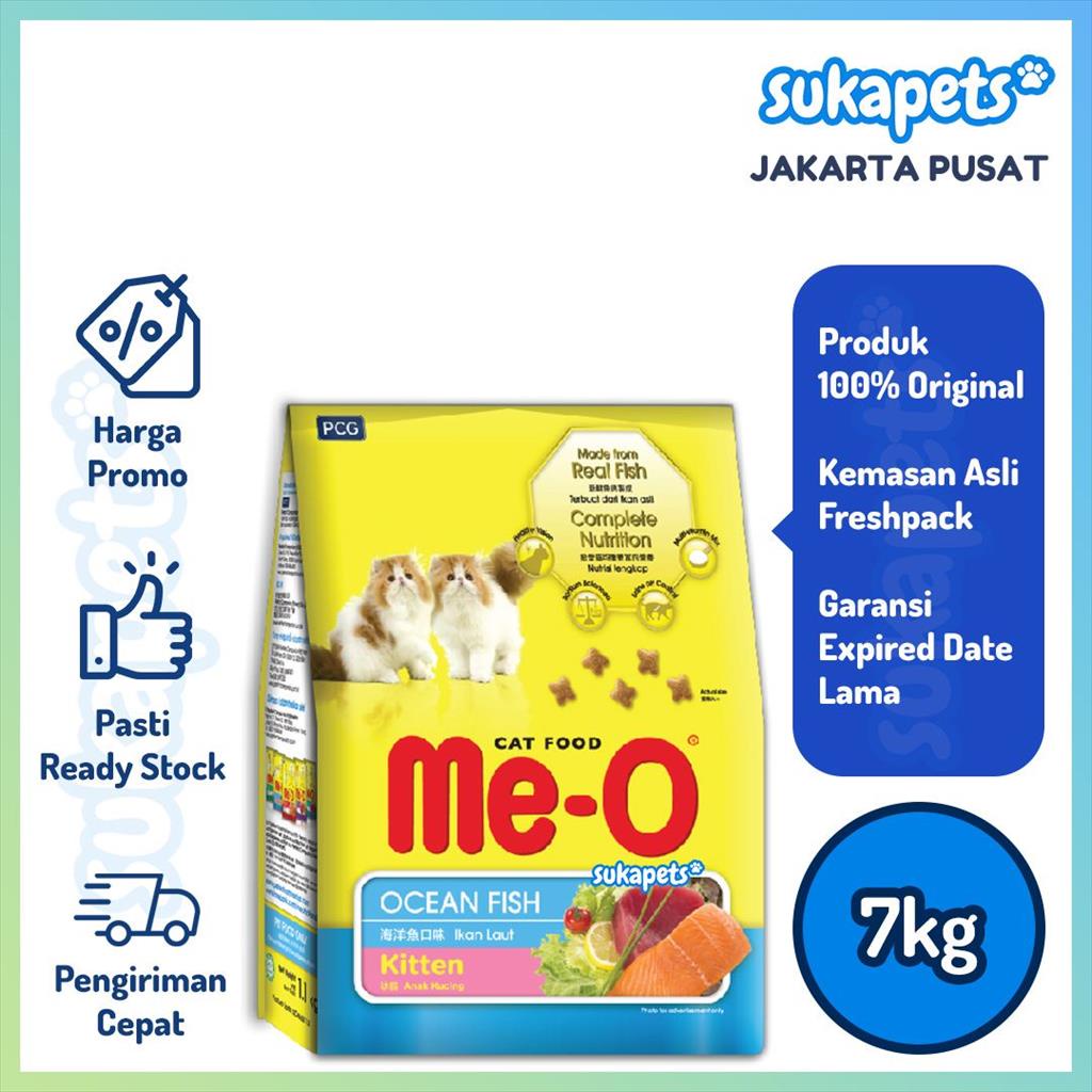 Meo kitten ocean on sale fish