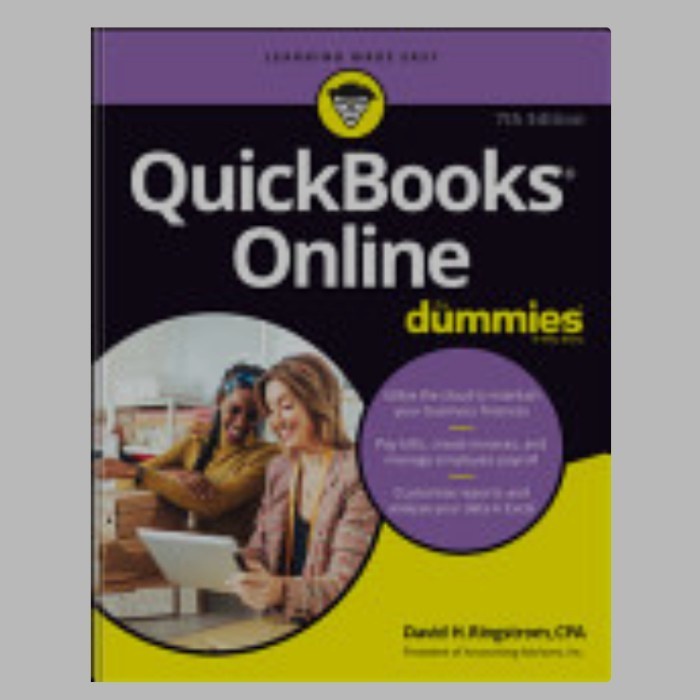 Jual Buku Quickbooks Online For Dummies 7th Edition Shopee Indonesia 0837