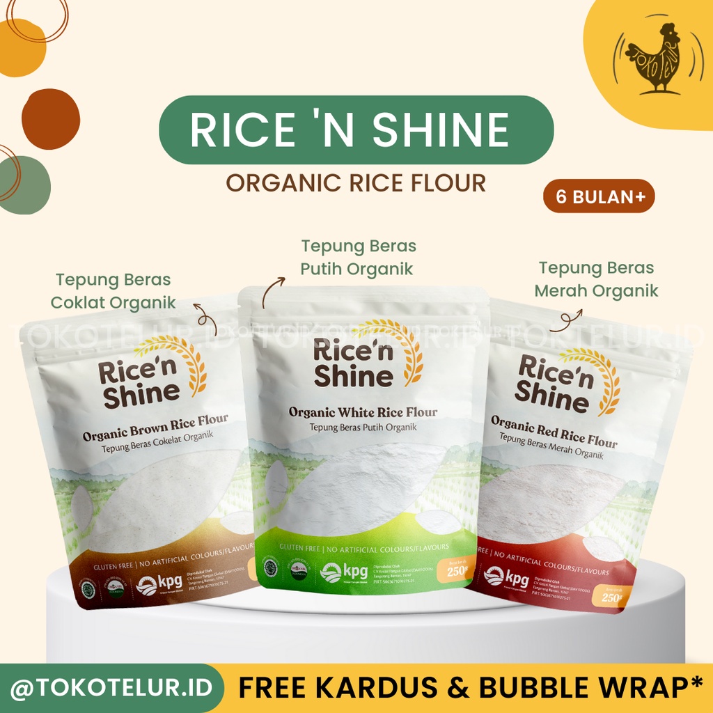 Jual RICE n SHINE - Tepung Beras Organik | Cocok untuk MPASI - GLUTEN ...