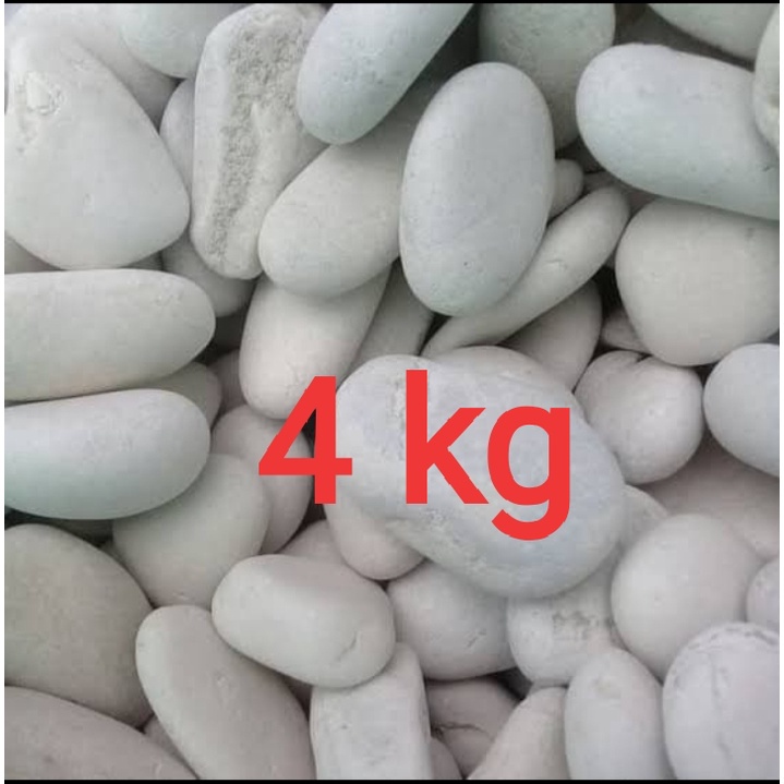 Jual Batu koral putih kemasan 4 kg | Shopee Indonesia