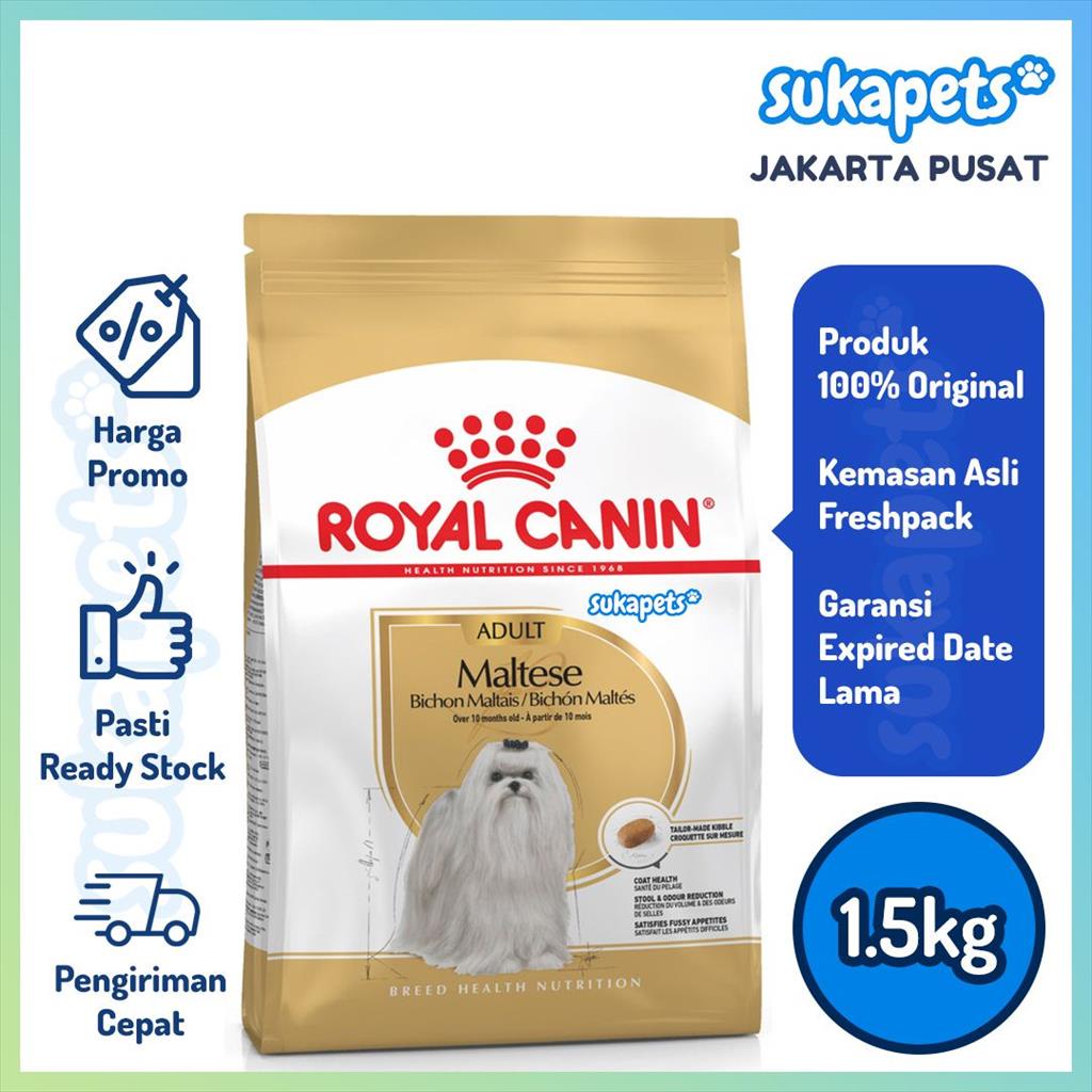 Royal canin adult outlet maltese