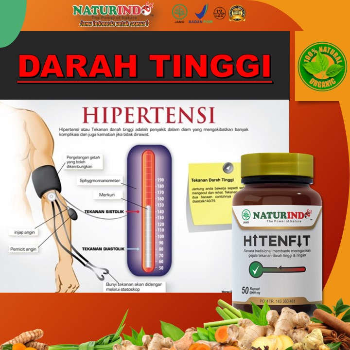 Jual Obat Herbal Darah Tinggi Penurun Darah Tinggi Hipertensi