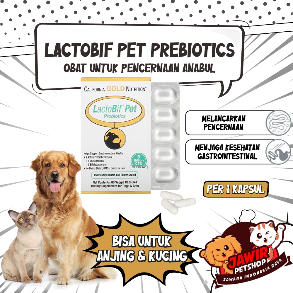Jual LACTOBIF PET PREBIOTICS obat pelancar pencernaan sensitif kucing ...