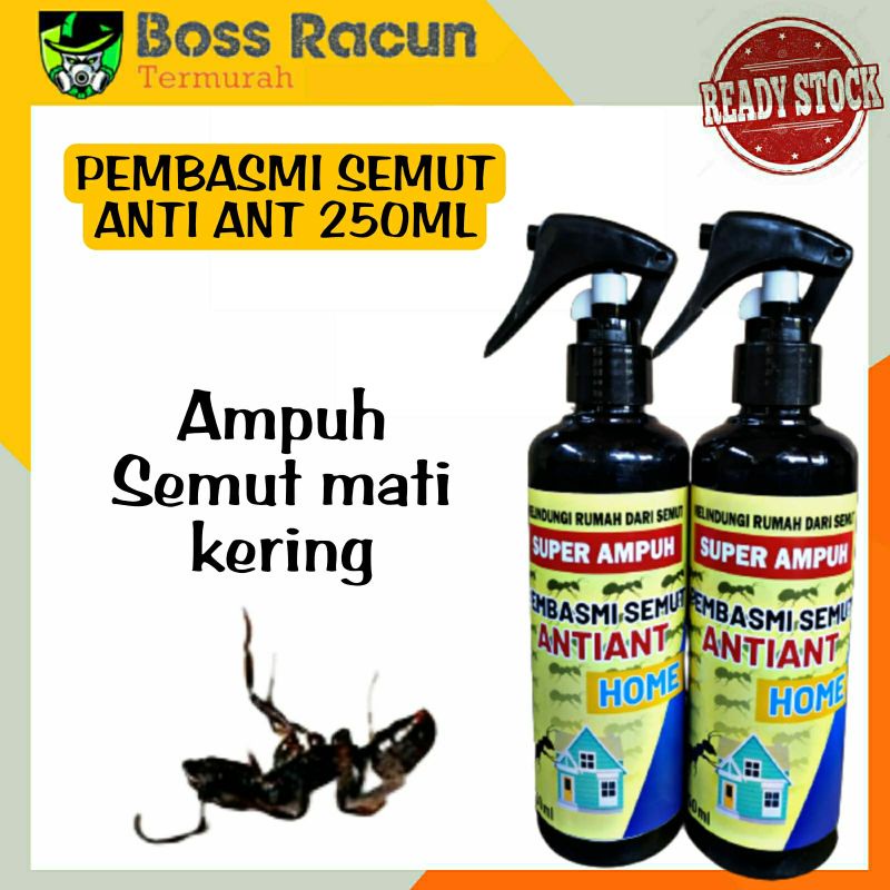 Jual Racun Pembasmi Semut Obat Semut Anti Semut Anti Ant Pengusir Semut Racun Semut Spray Siap 8471