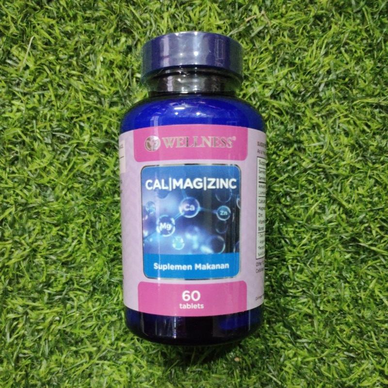 Jual Cal Mag Zinc Calcium Magnesium Zinc With Boron Capsules Kapsul Bpom By Wellness Suplemen