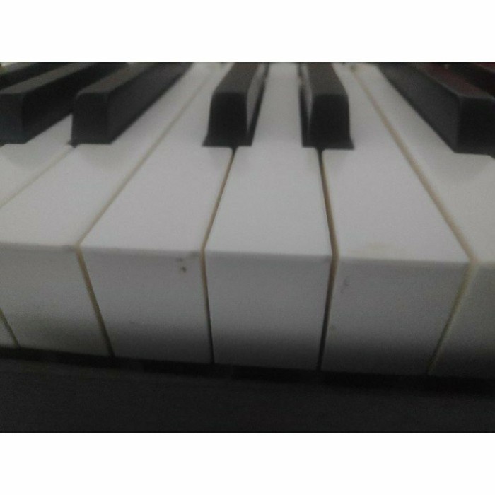 Jual Hammer Cap Keyboard Casio / Hammer Caps Keyboard / Karet Tuts