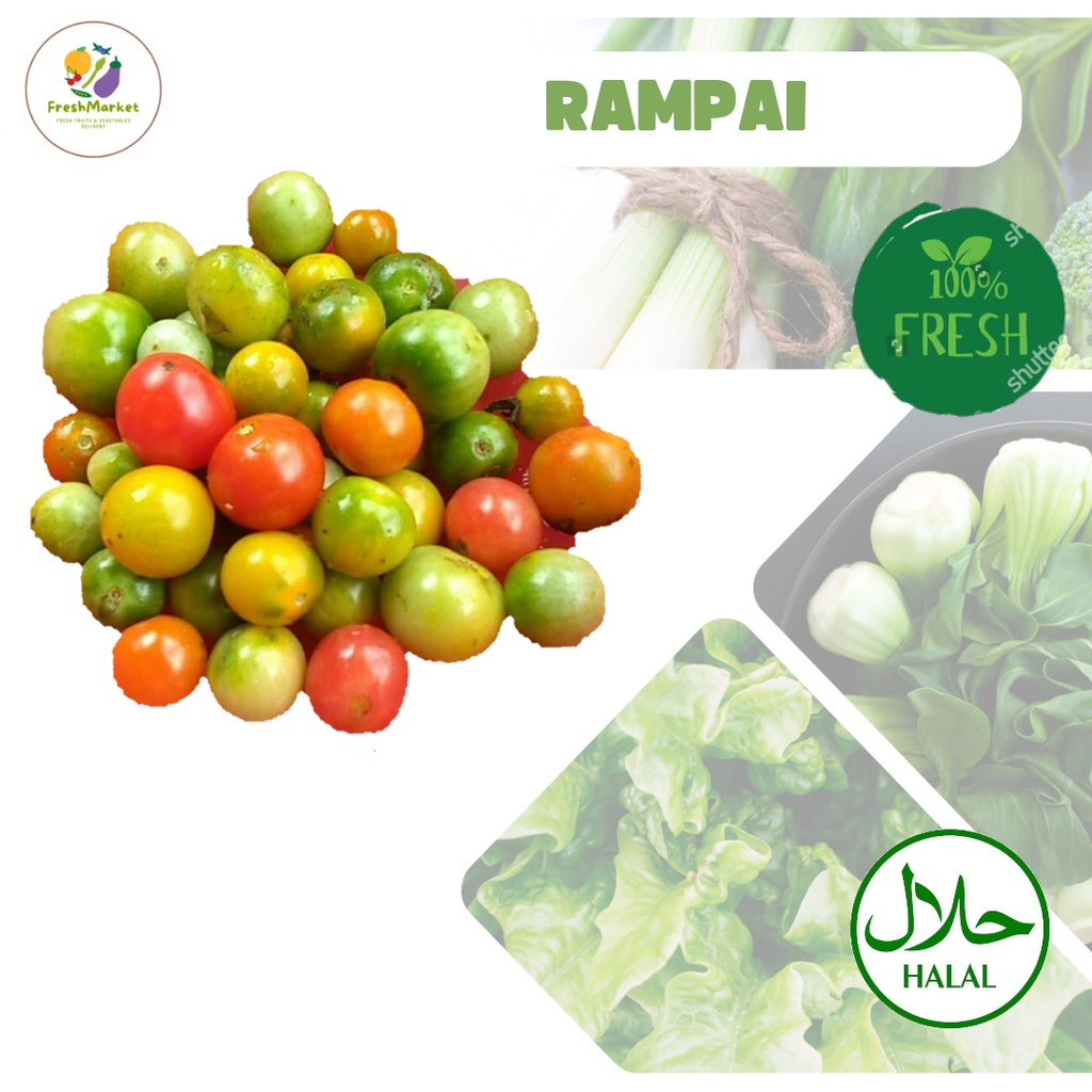 Jual Rampai Segar Sayur Sayuran 500 Gram Freshmarketlampung | Shopee ...