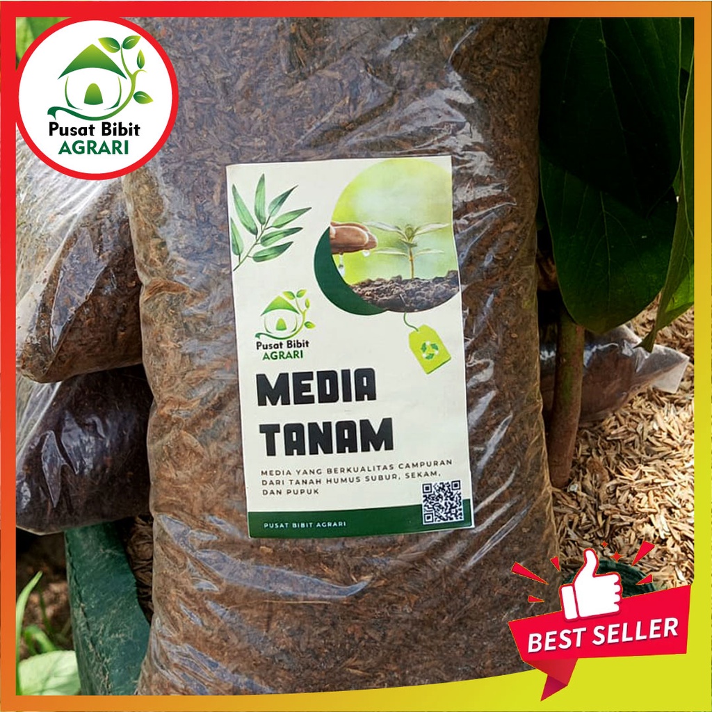 Media Tanam Subur Cepat Berbuah Bibit Super Genjah Unggul Bisa Tabulampot Pusat Bibit Agrari